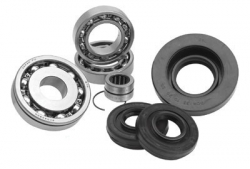 Honda 300ex rear end assembly #2
