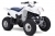 Z 250