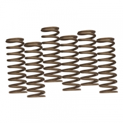 Hinson Hi-Temp Clutch Spring Kit Kawasaki KFX 450R