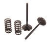 Pro X Steel Valve/Spring Kit Yamaha YFZ 450
