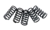 EBC Clutch Spring Set Yamaha YFZ 450R and 450X