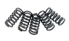 EBC Clutch Spring Set Suzuki LT-R 450