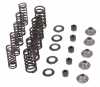 Kibblewhite Valve Spring Kit Suzuki LT-R 450