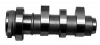 Web Cam Camshaft Honda TRX 450R and 450ER